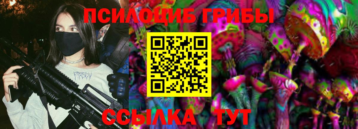 Галлюциногенные грибы Psilocybe  Вход с VPN  Джанкой 